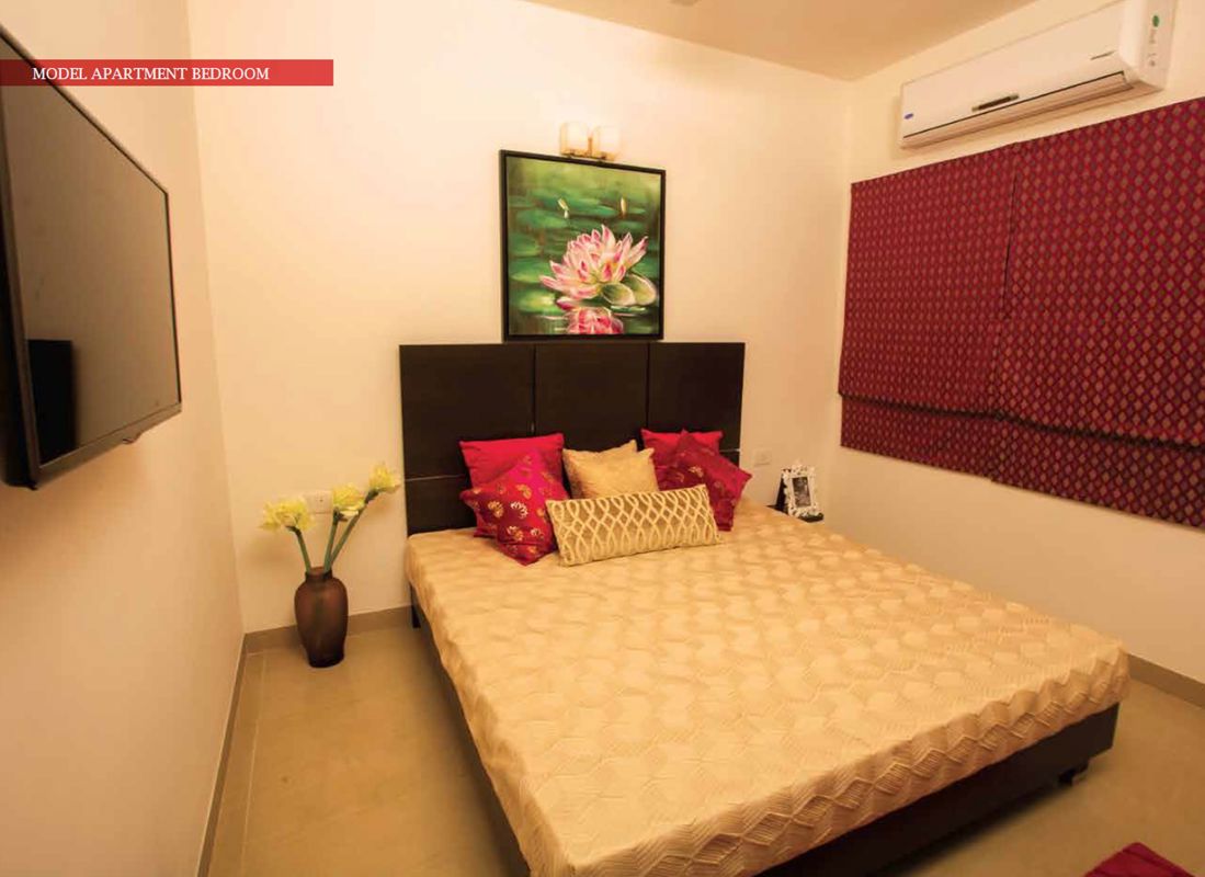 Casa Grande Cherry Pick