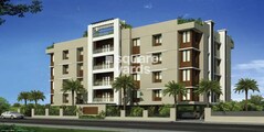 Casa Grande White Oak