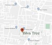 Chaitanya Bilva Tree Location Image