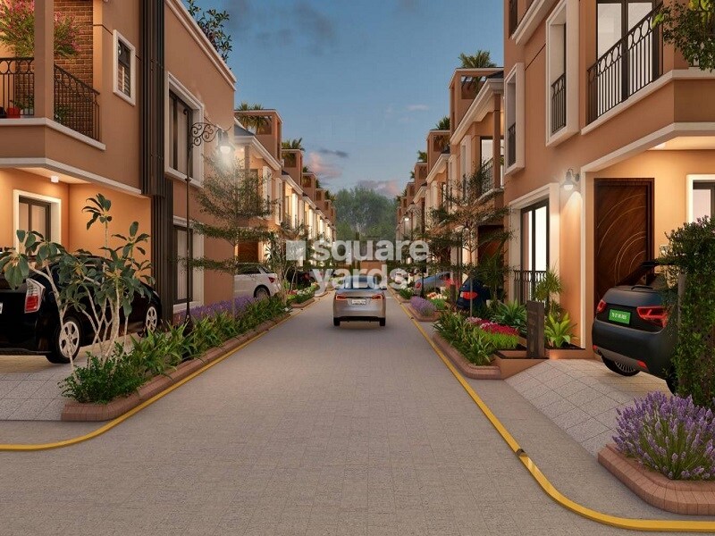 DAC House Of Palisade