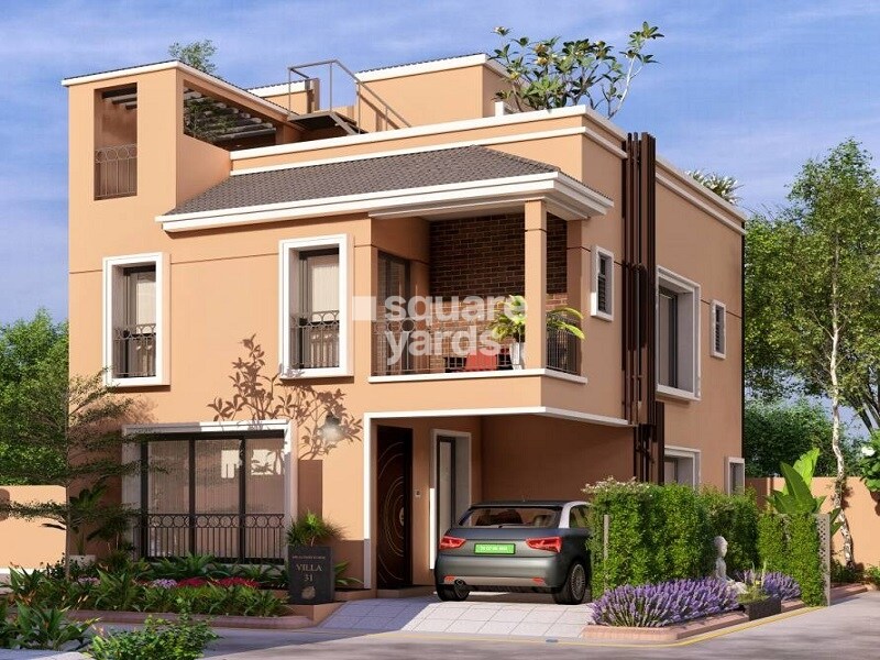 DAC House Of Palisade