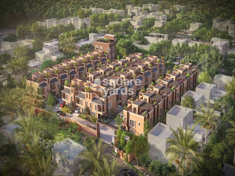 DAC House Of Palisade