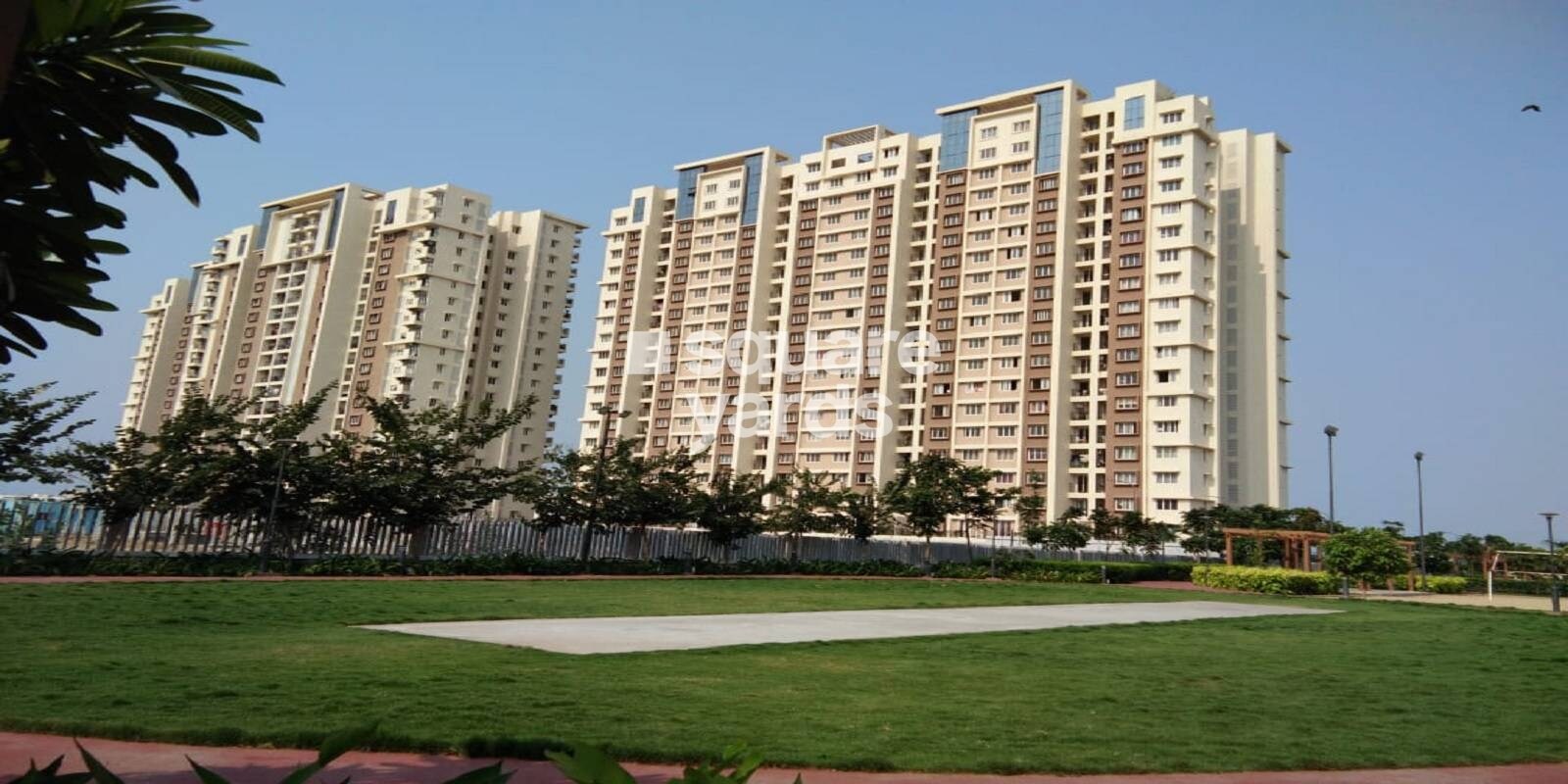 Doshi Risington Featured Image