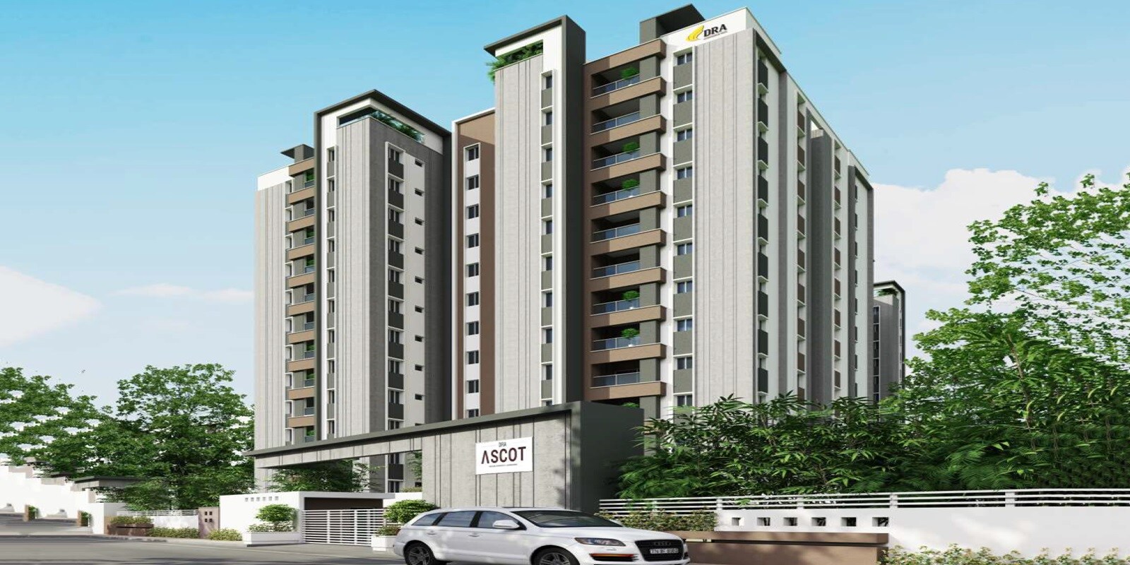 DRA Ascot Featured Image