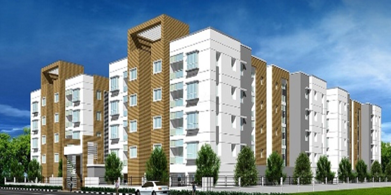 Elegant Pelican Nest