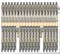 Fortune Lotus Floor Plans
