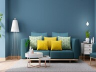 India Mayuri Mantra Apartment Interiors