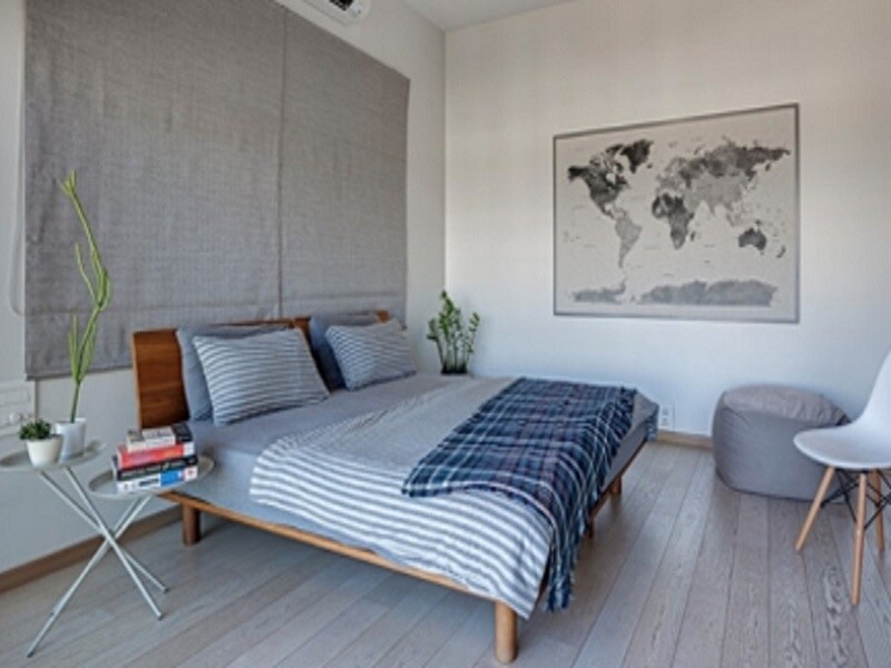 Representative image as actual visual unavailable for India Mayuri Maple