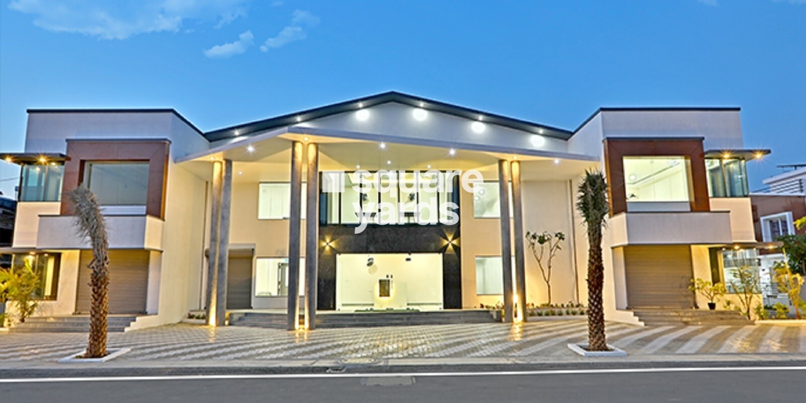 Jones Cassia 3