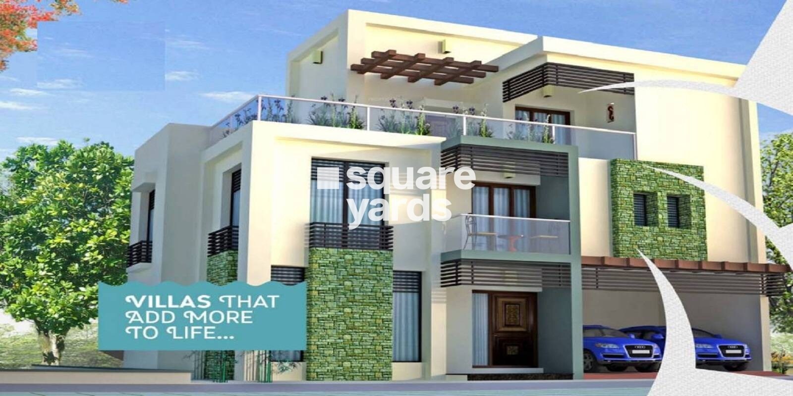 KE Palm Count Featured Image