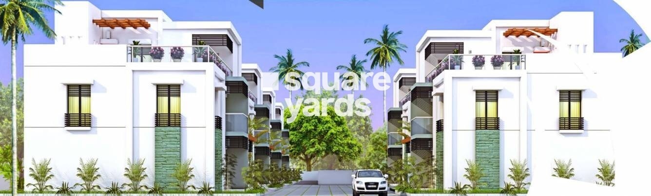 KE Palm Count Tower View