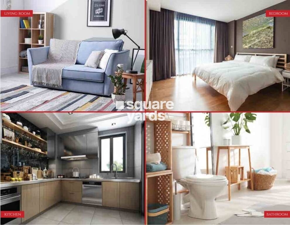 KG House Of Champions