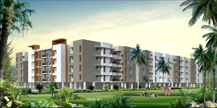 MF Vruksha Cover Image