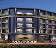 NGB Magnolia