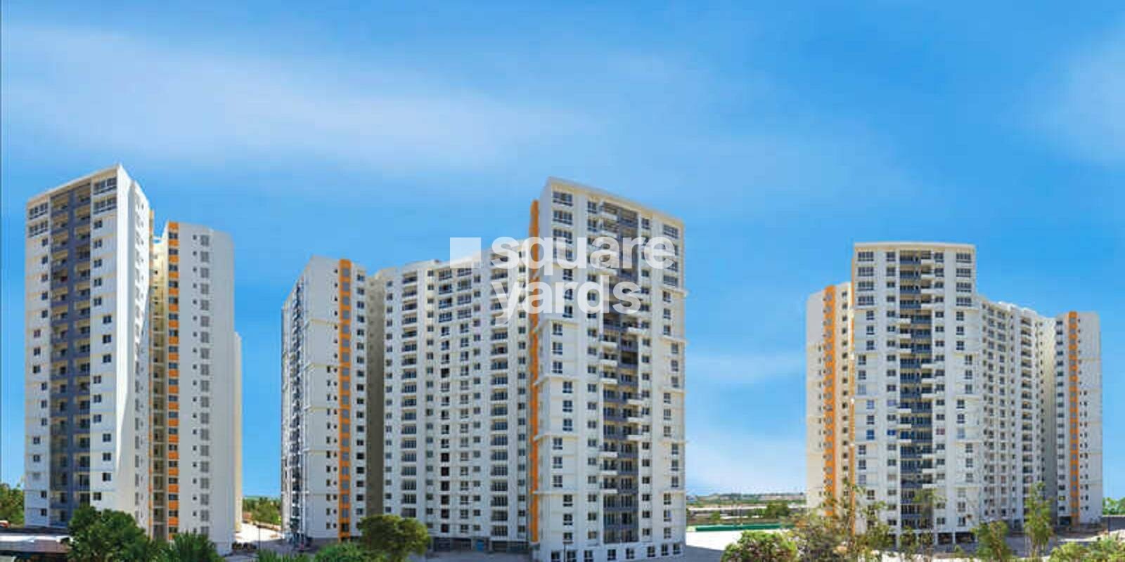 Olympia Opaline Sequel