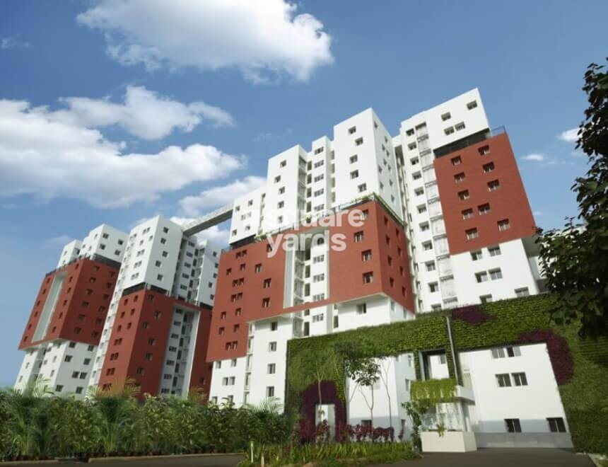 Osian Chlorophyll Tower View