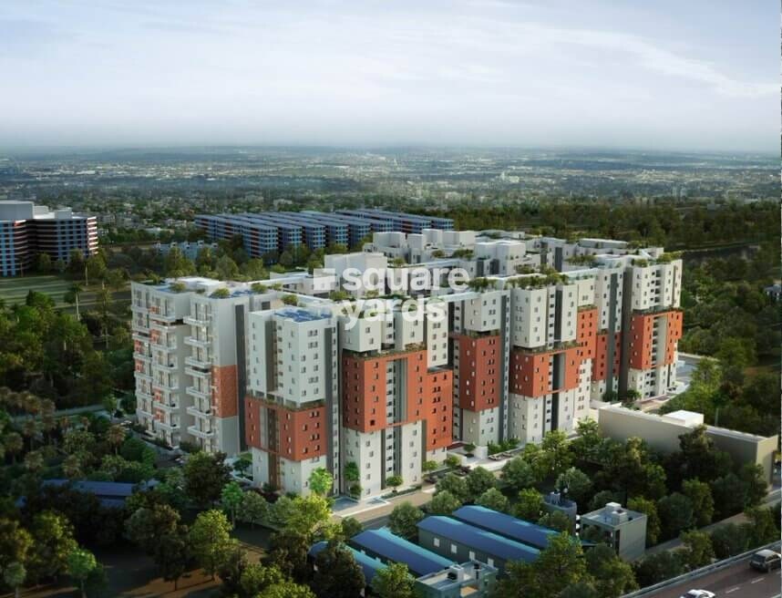 Osian Chlorophyll Tower View