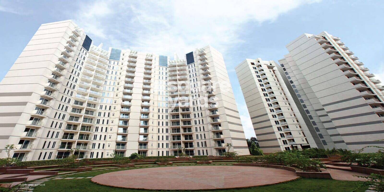 Ozone Metrozone