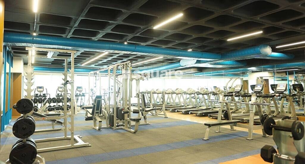 Ozone The Metrozone Gymnasium Image 1