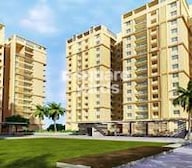 Pacifica Aurum Project Thumbnail Image