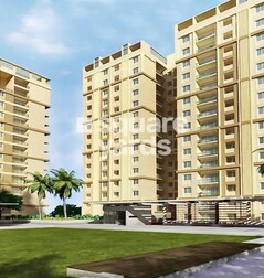 Pacifica Aurum Pacifica Aurum