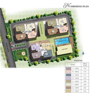 Prestige-Downtown_a collage of photos of different types of toys