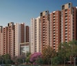 Provident Bayscape