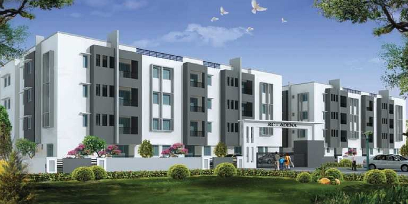 RC Adena Cover Image