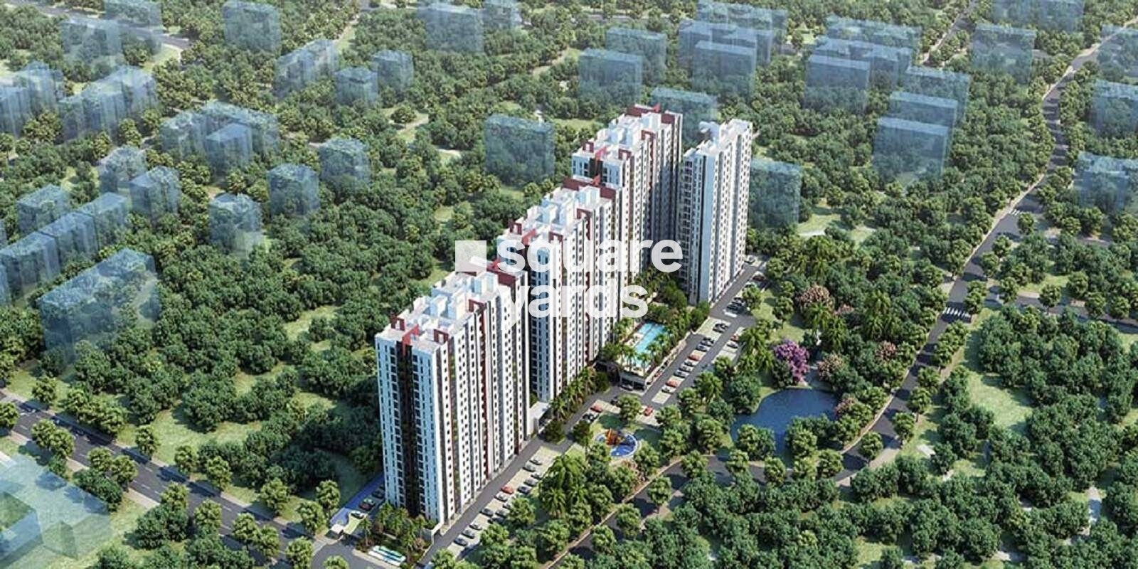 Risland The Ace Featured Image