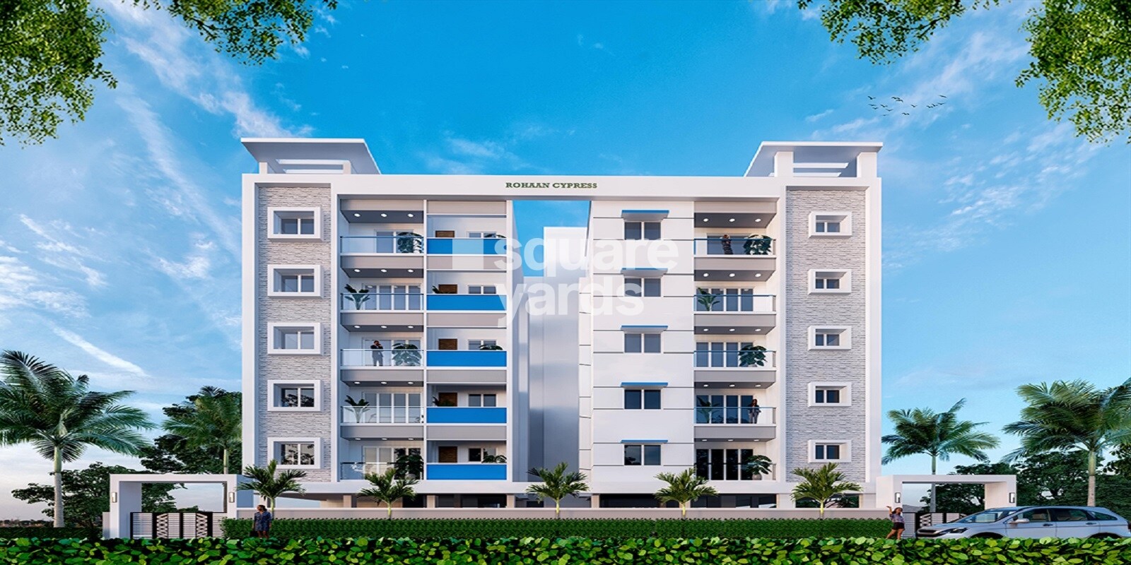 Rohaan Cypress Featured Image