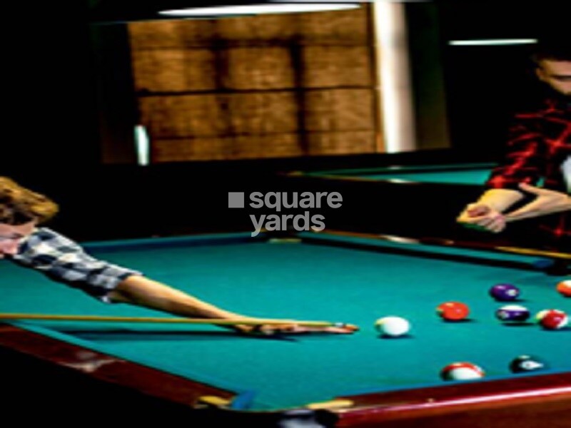 Rohini Mayfair Amenities-Features 2