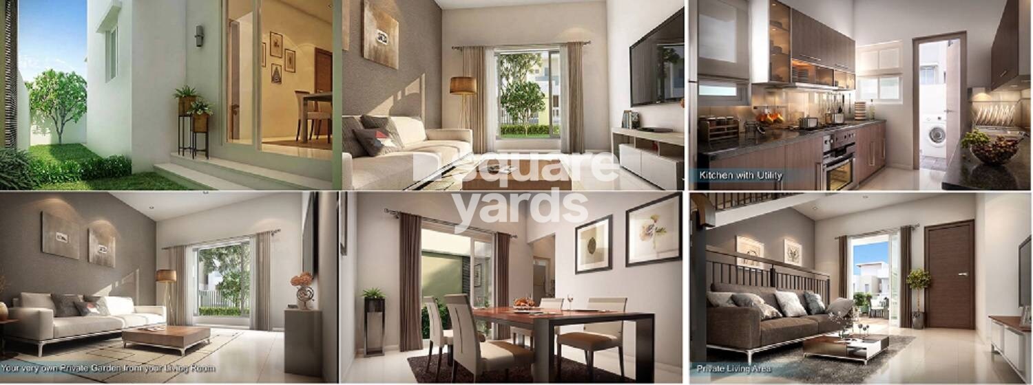 S And P Signature Villas