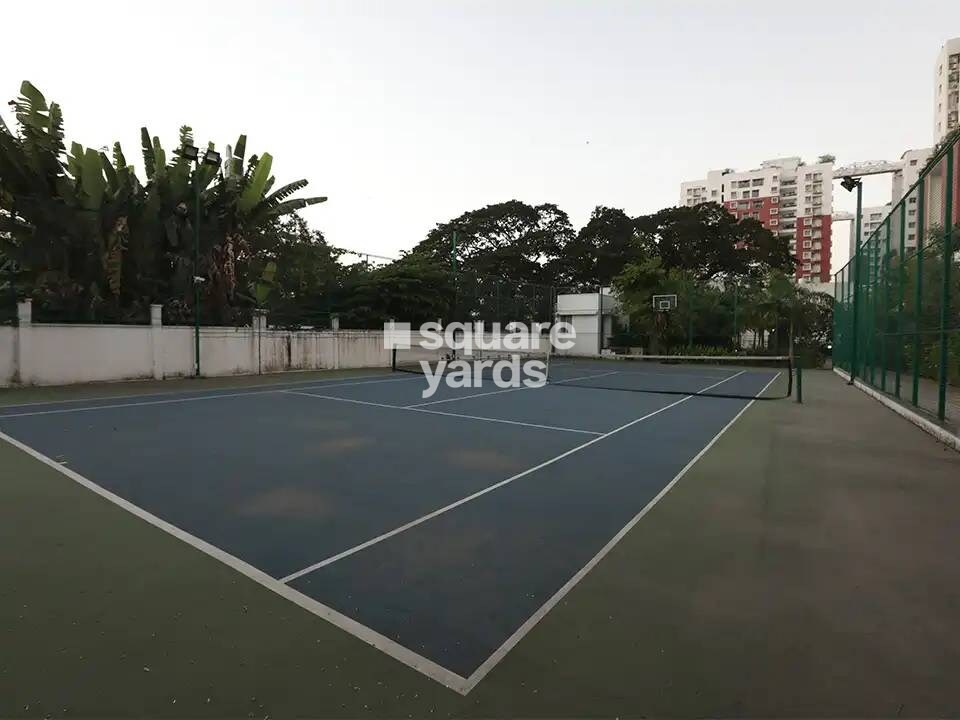 SPRRG Osian Chlorophyll