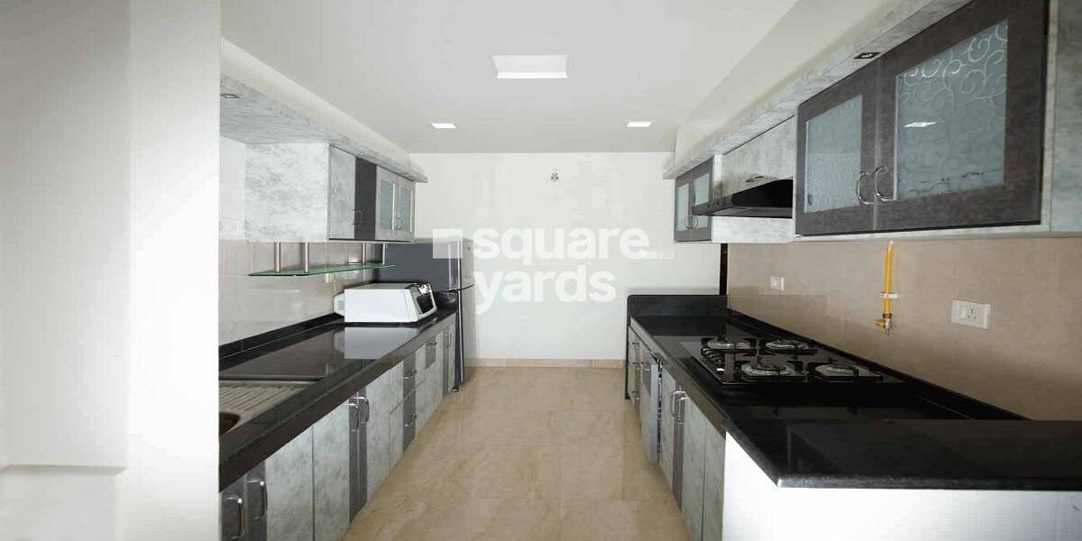 SPRRG Osian Chlorophyll