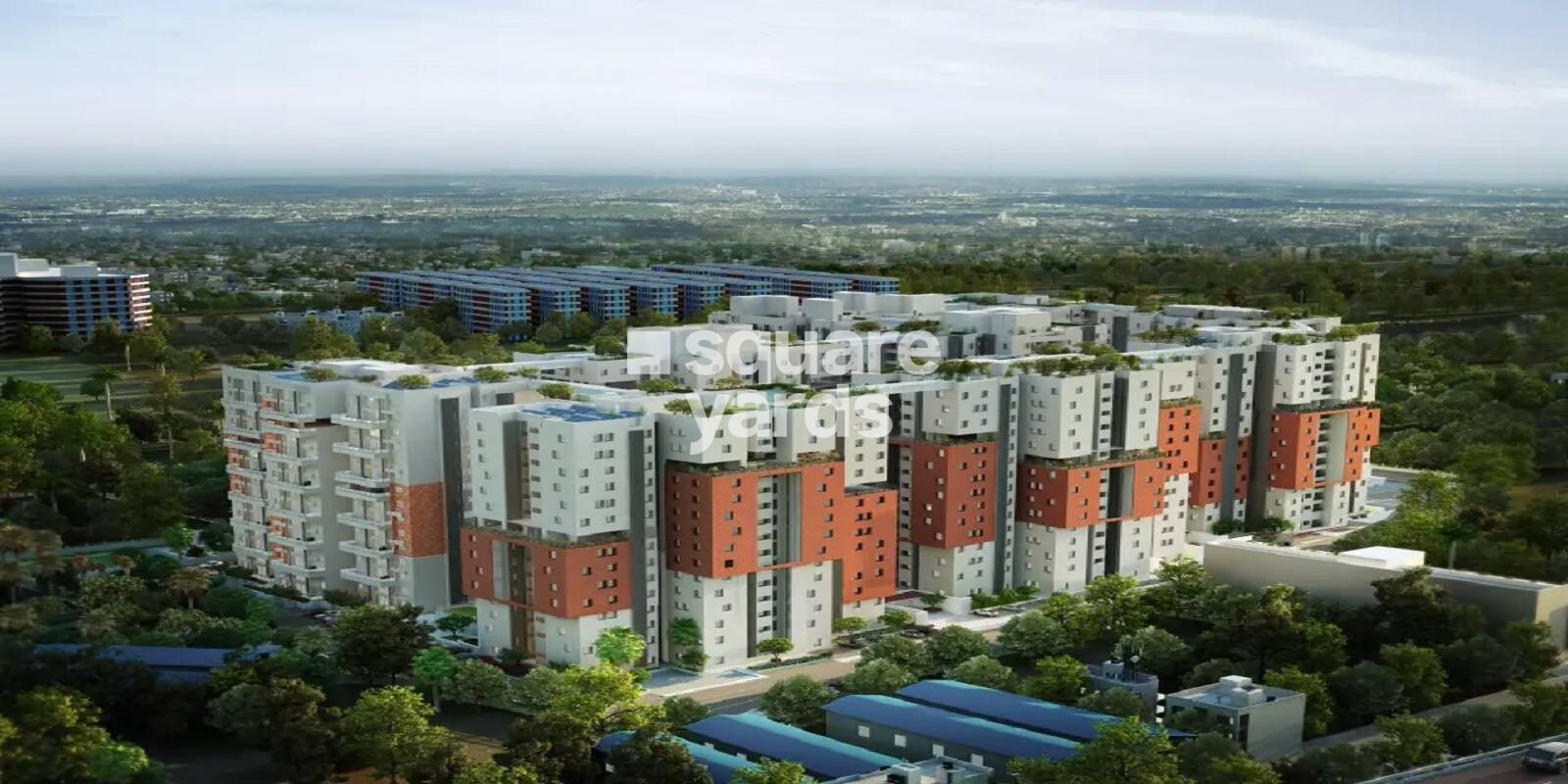 SPRRG Osian Chlorophyll