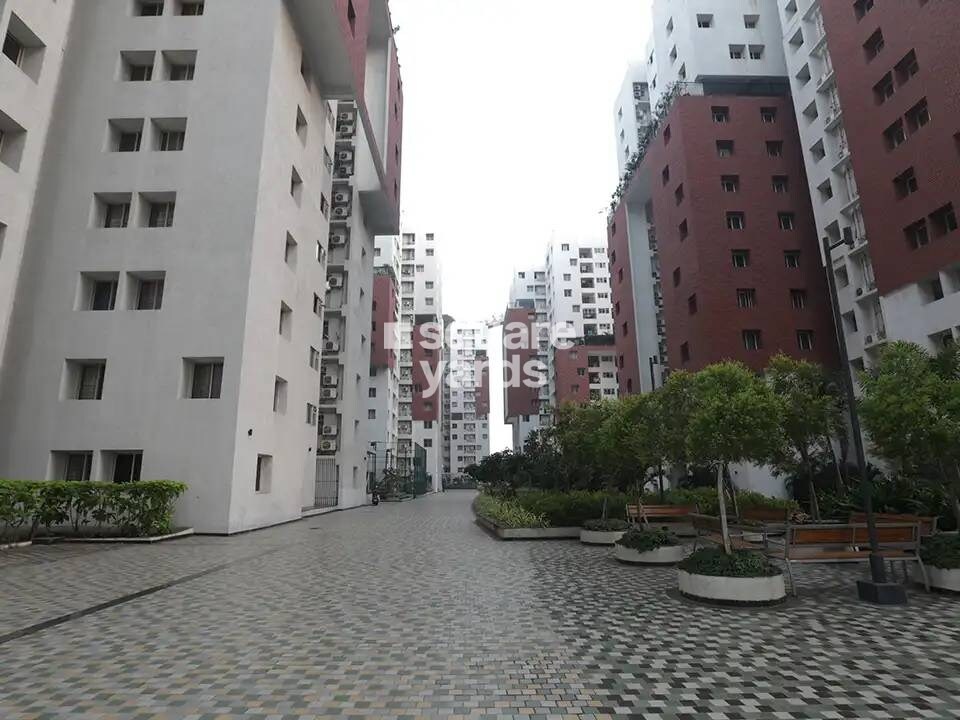 SPRRG Osian Chlorophyll