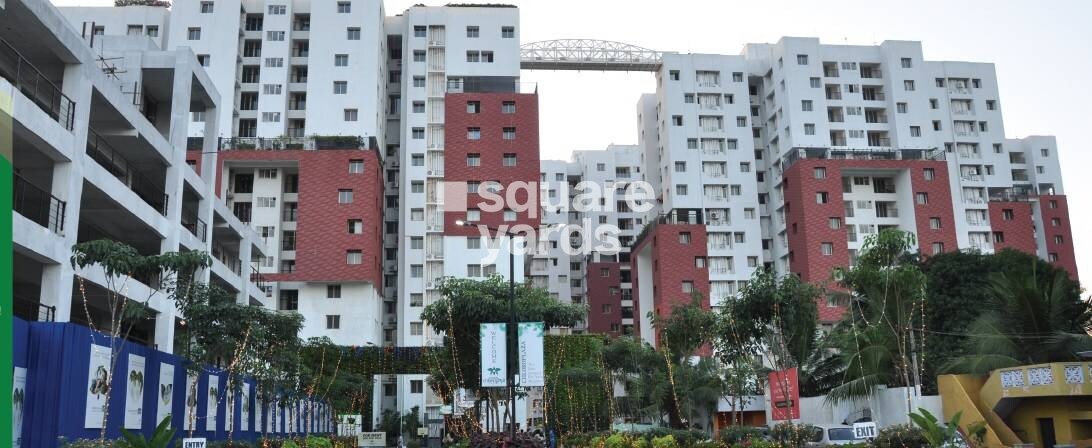 SPRRG Osian Chlorophyll