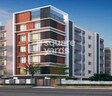 Stepsstone Vatsa Elite