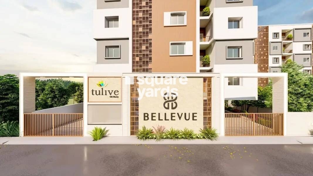 Tulive Bellevue