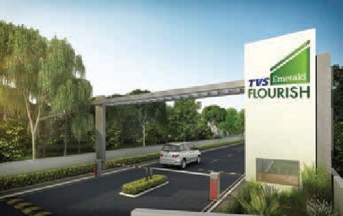 TVS Emerald Flourish