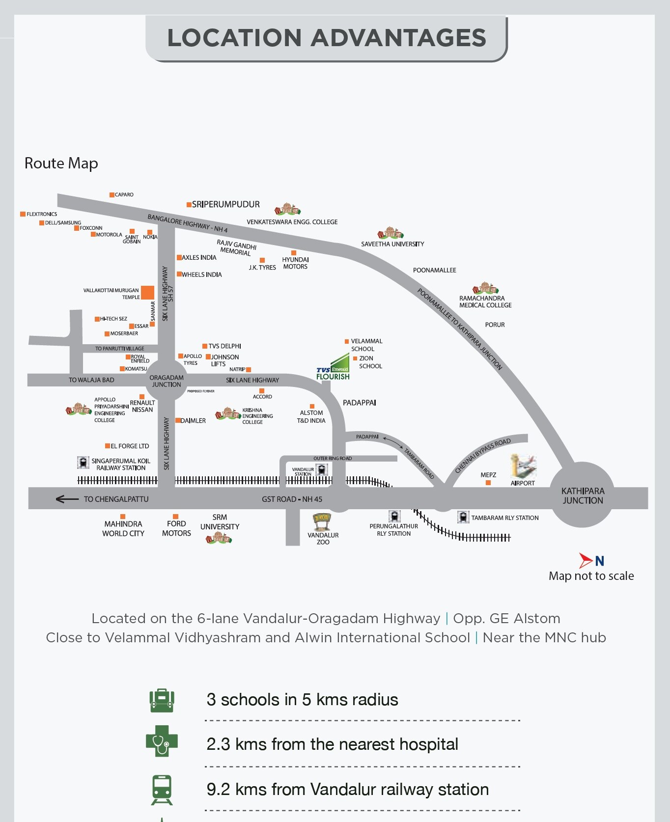 TVS Emerald Flourish