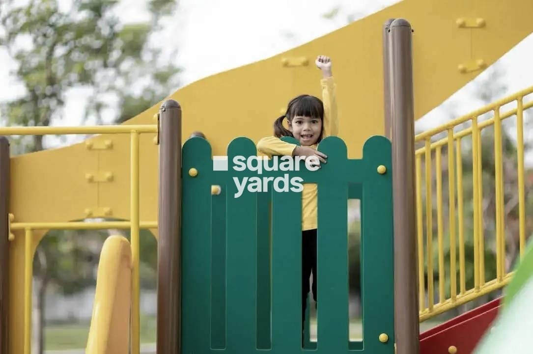 TVS Emerald Lake Shore