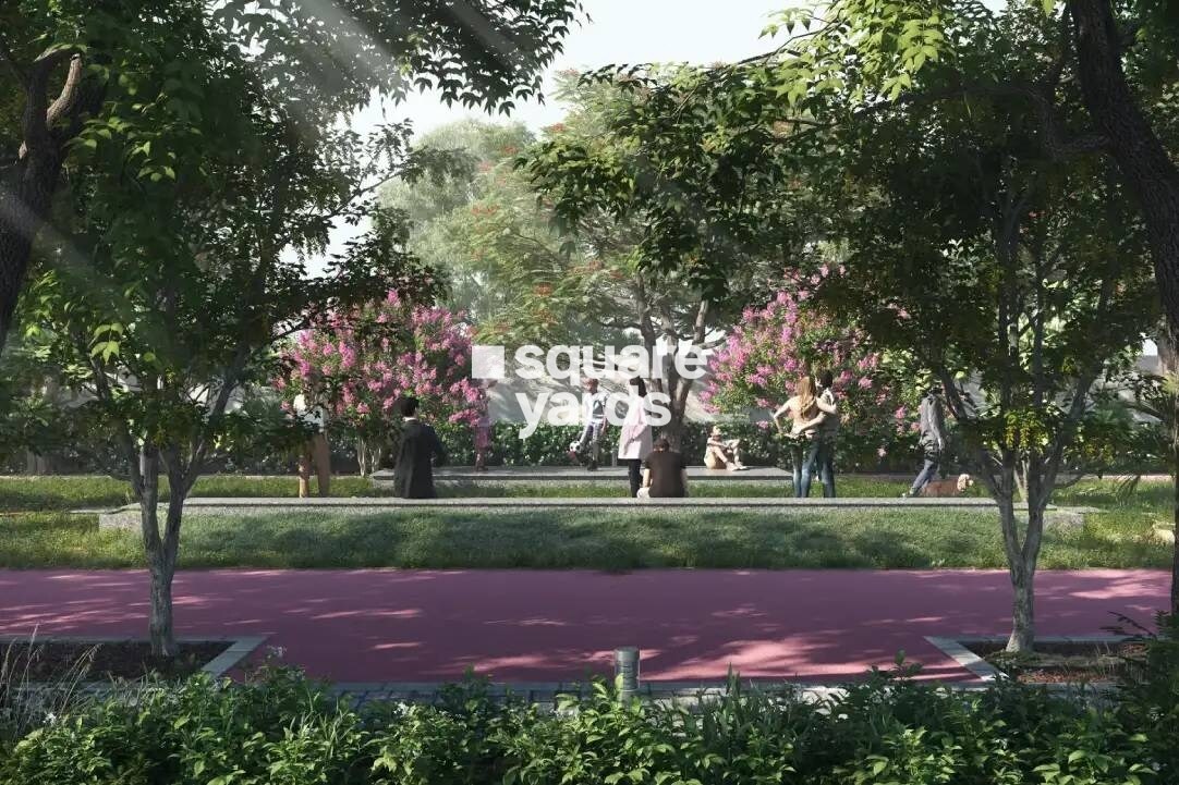 TVS Emerald Lake Shore