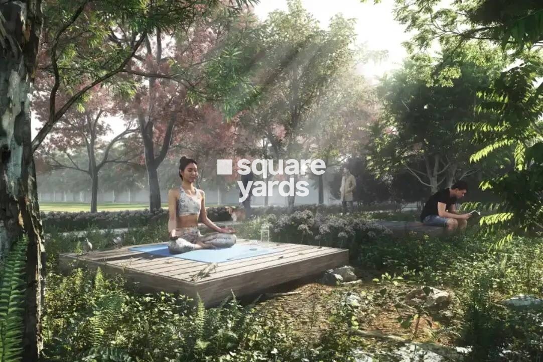 TVS Emerald Lake Shore