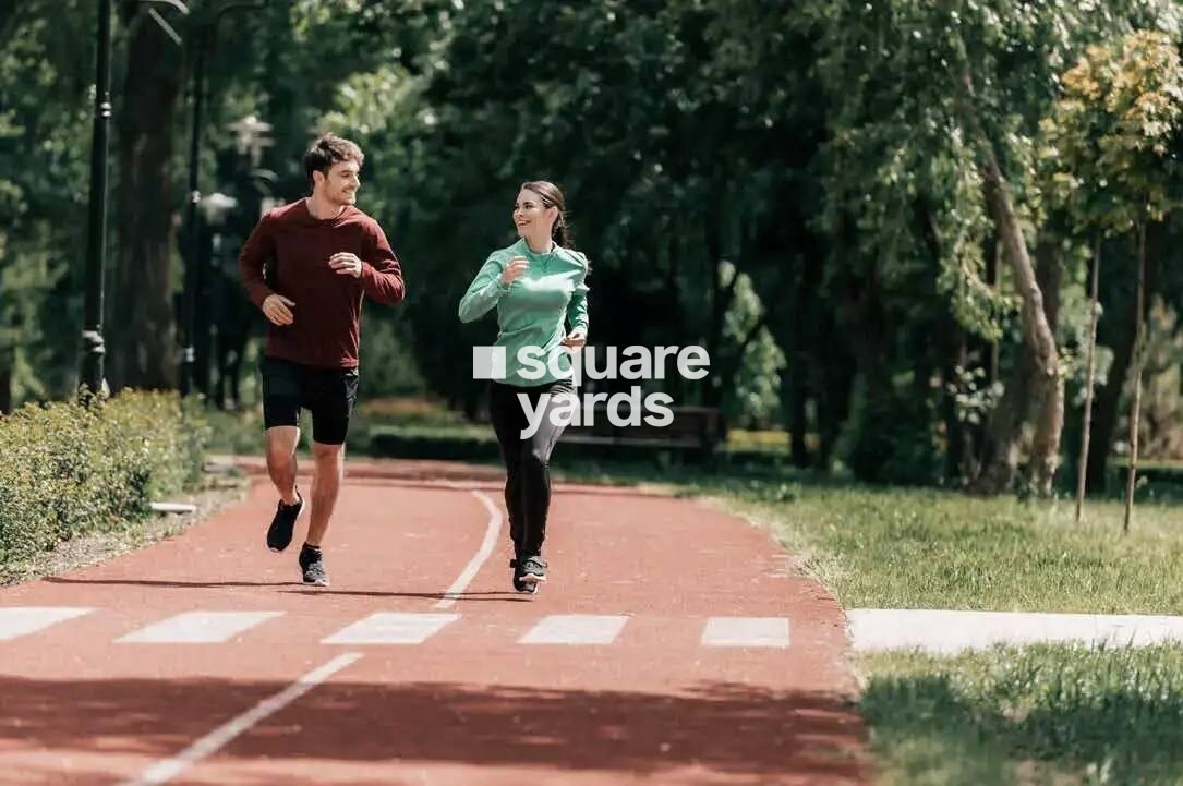 TVS Emerald Lake Shore