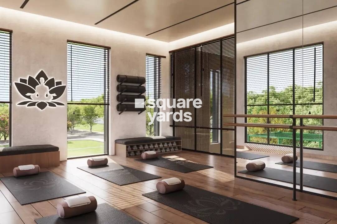 TVS Emerald Lake Shore