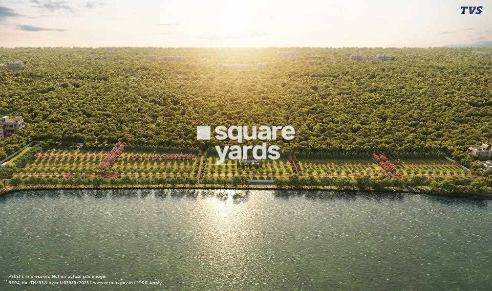 TVS Emerald Lake Shore