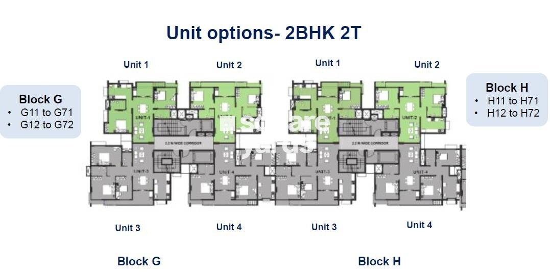 TVS Emerald Magnific