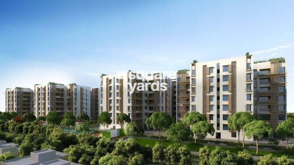 TVS Emerald Magnific