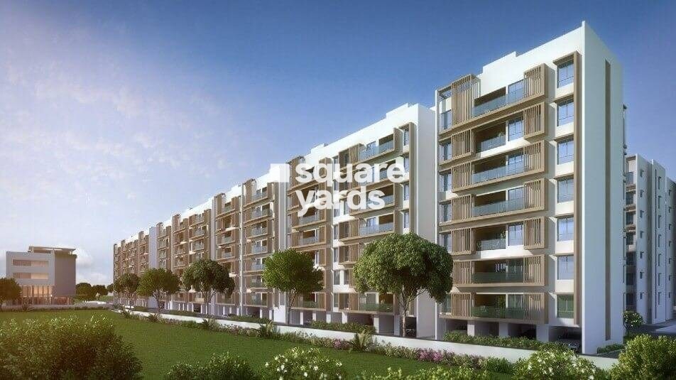 TVS Emerald Magnific